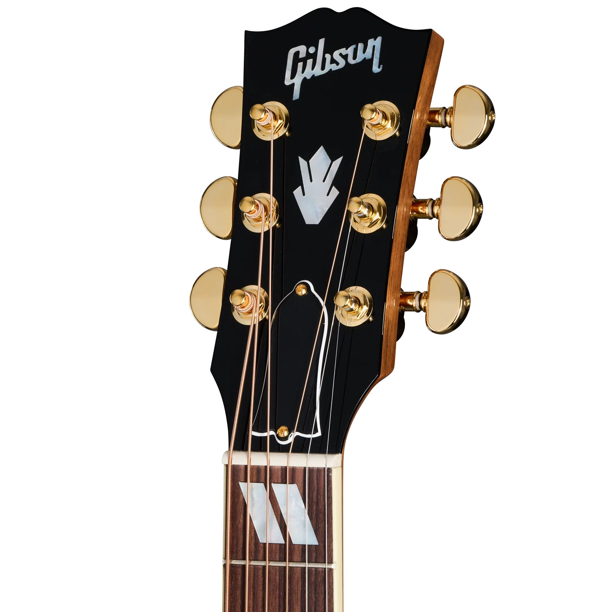 Hummingbird Standard Rosewood EC Rosewood Burst