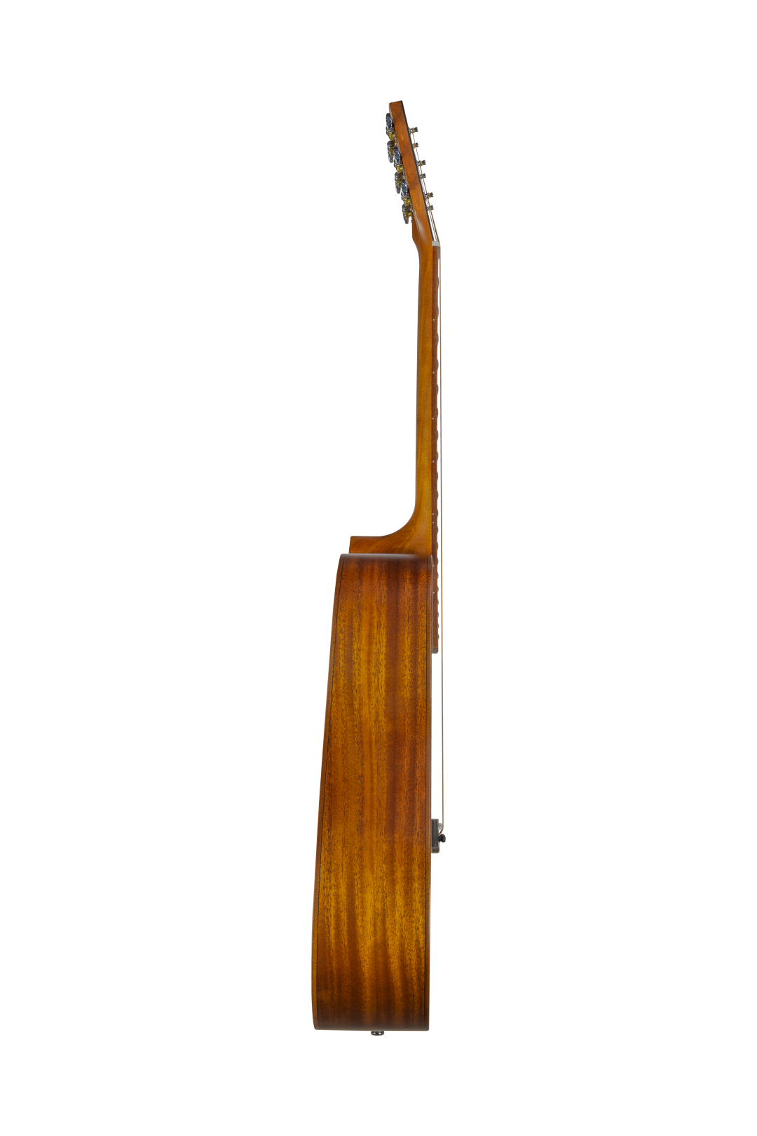 Akustikgitarre Dreadnought 313 MT