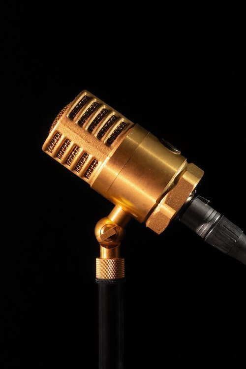 EAR Trumpet Labs Wanda Großmembran-Mikrofon für Gesang und Instrumente