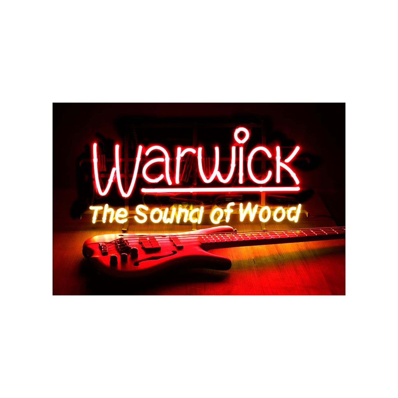 Warwick Neon Light German Plug 230V CE, UL approved, 3 meter Powercord