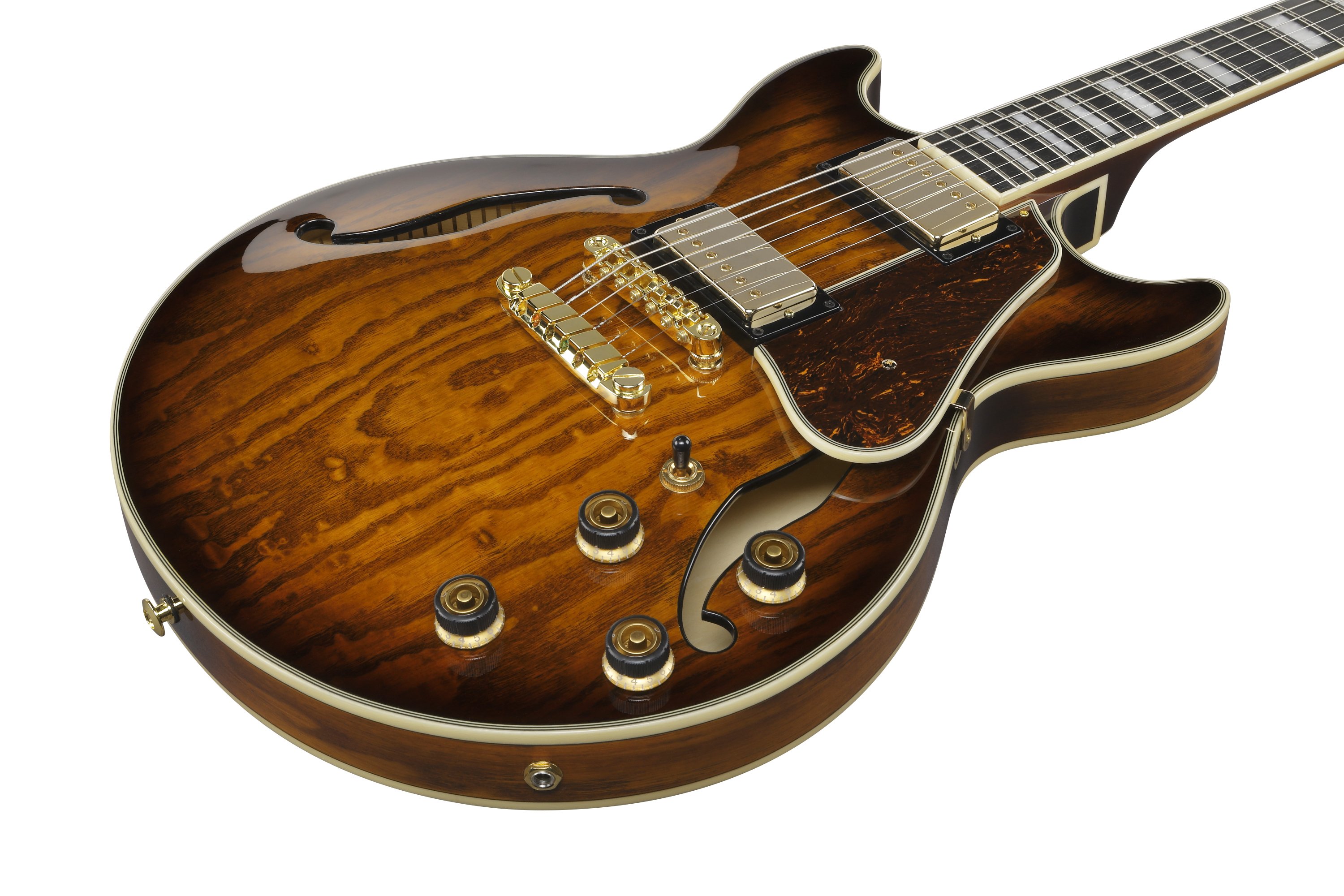 AM93QA-VVH Hollowbody Gitarre