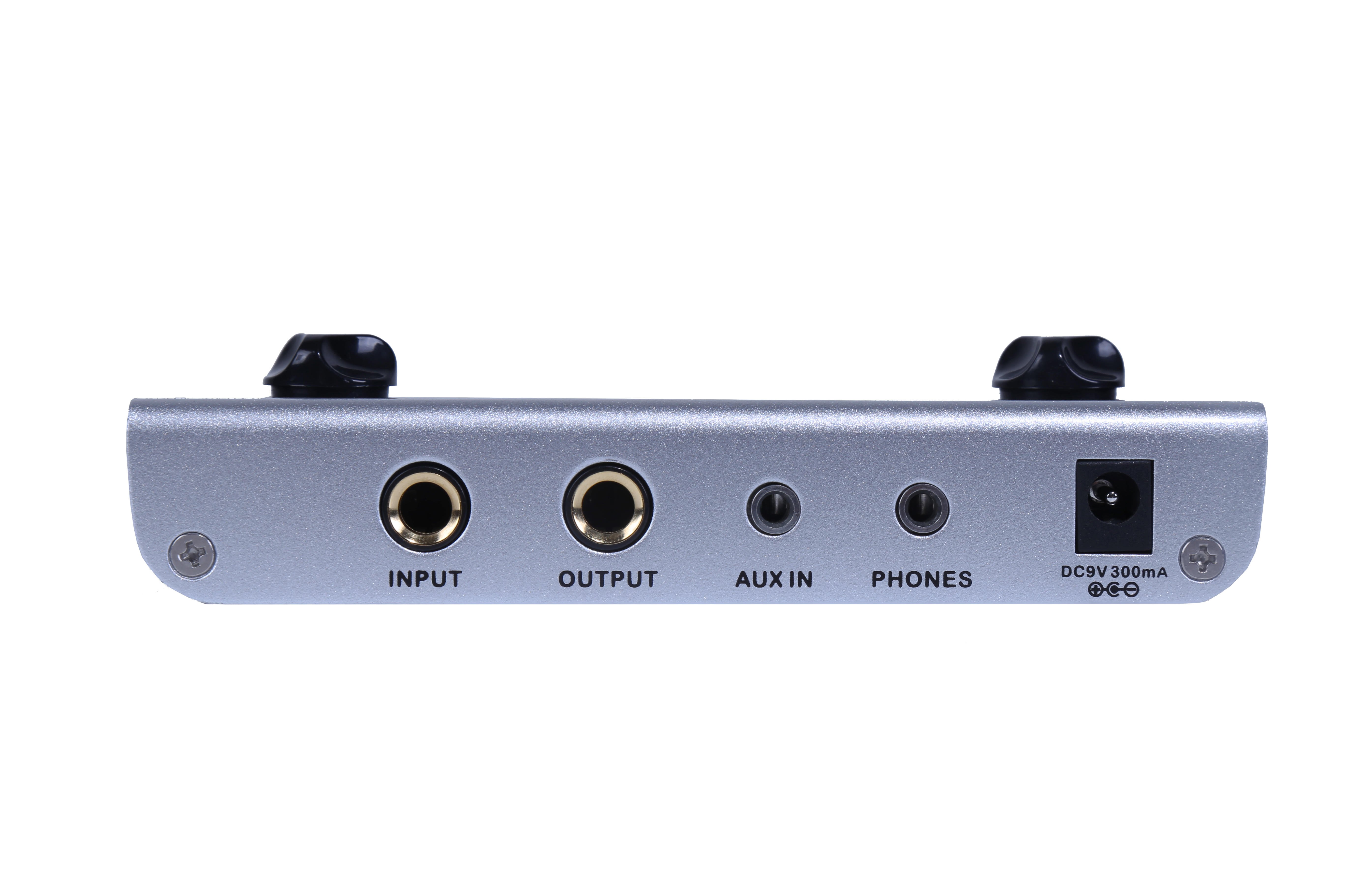 PE 100 Portable Guitar Effects