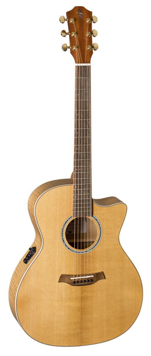 TLM/ACEC Flamed Maple
