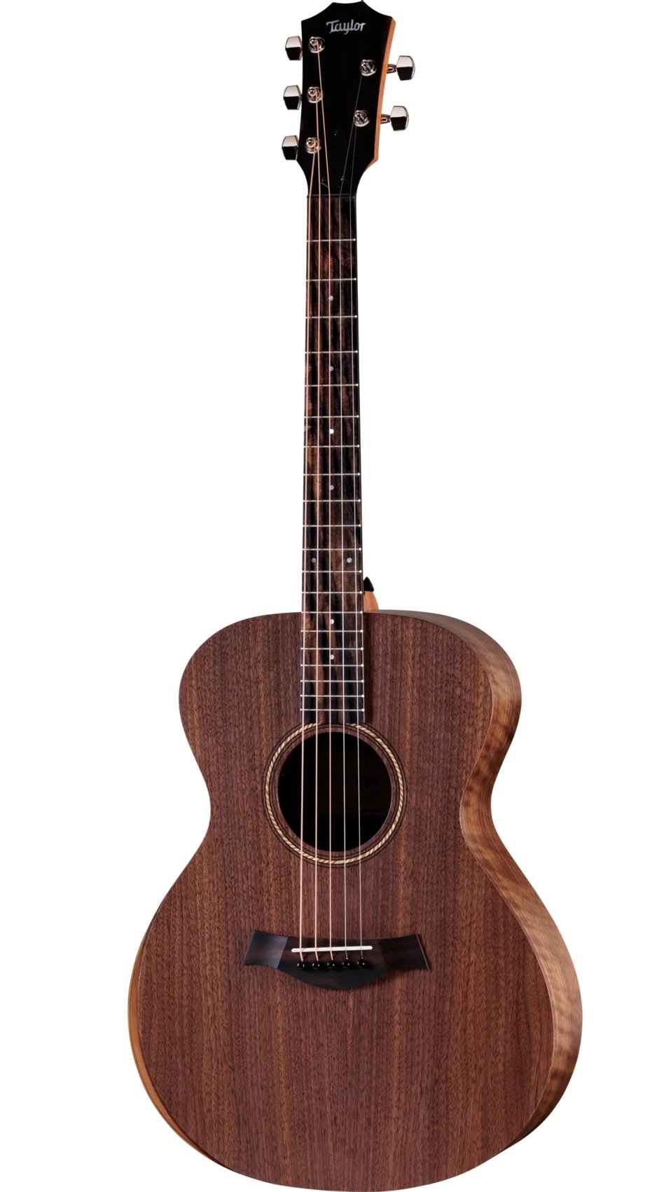 Jacob Collier Academy 22e 5-String Walnut