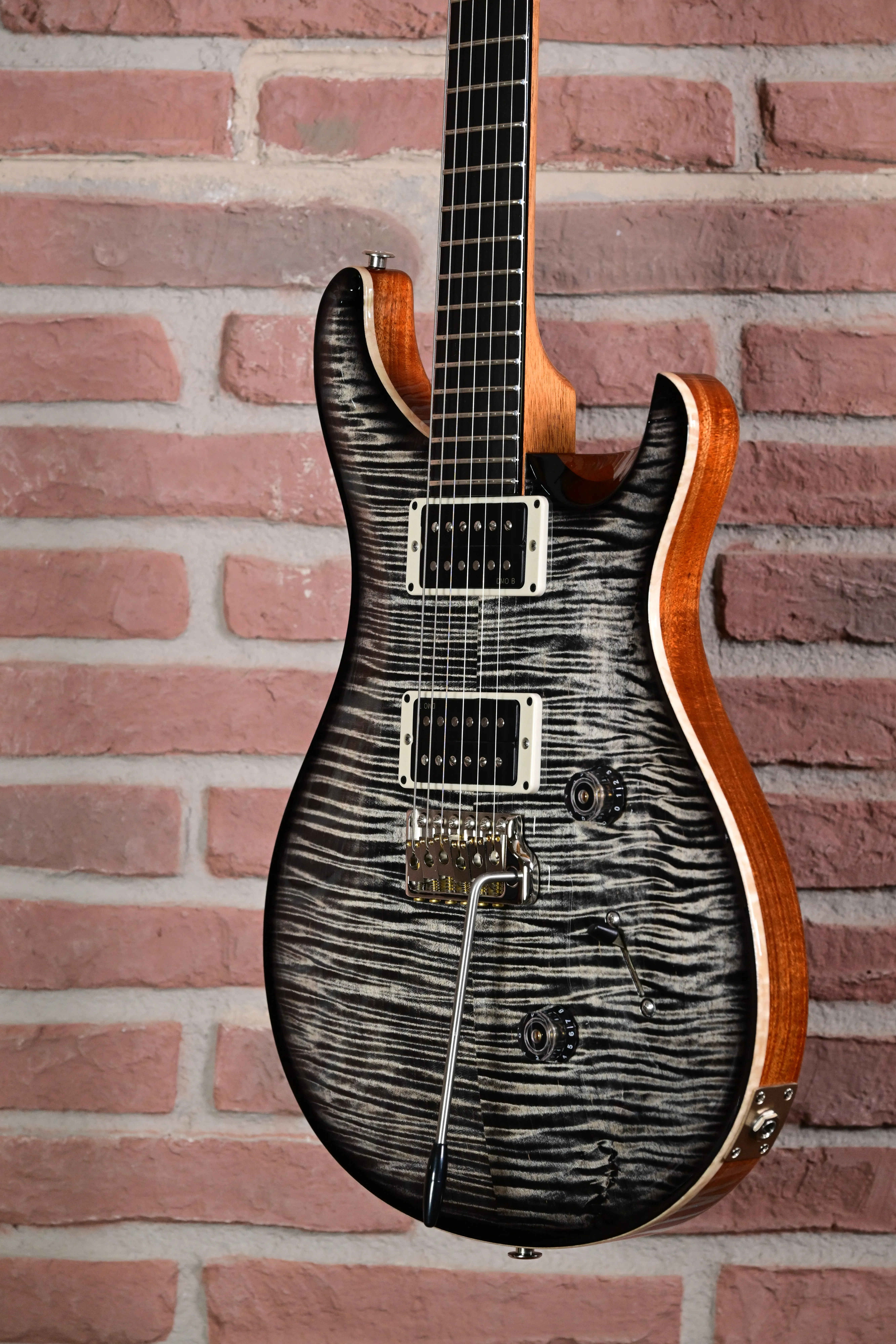 Custom 24 Birds of a Feather Limited Charcoal Microburst E-Gitarre