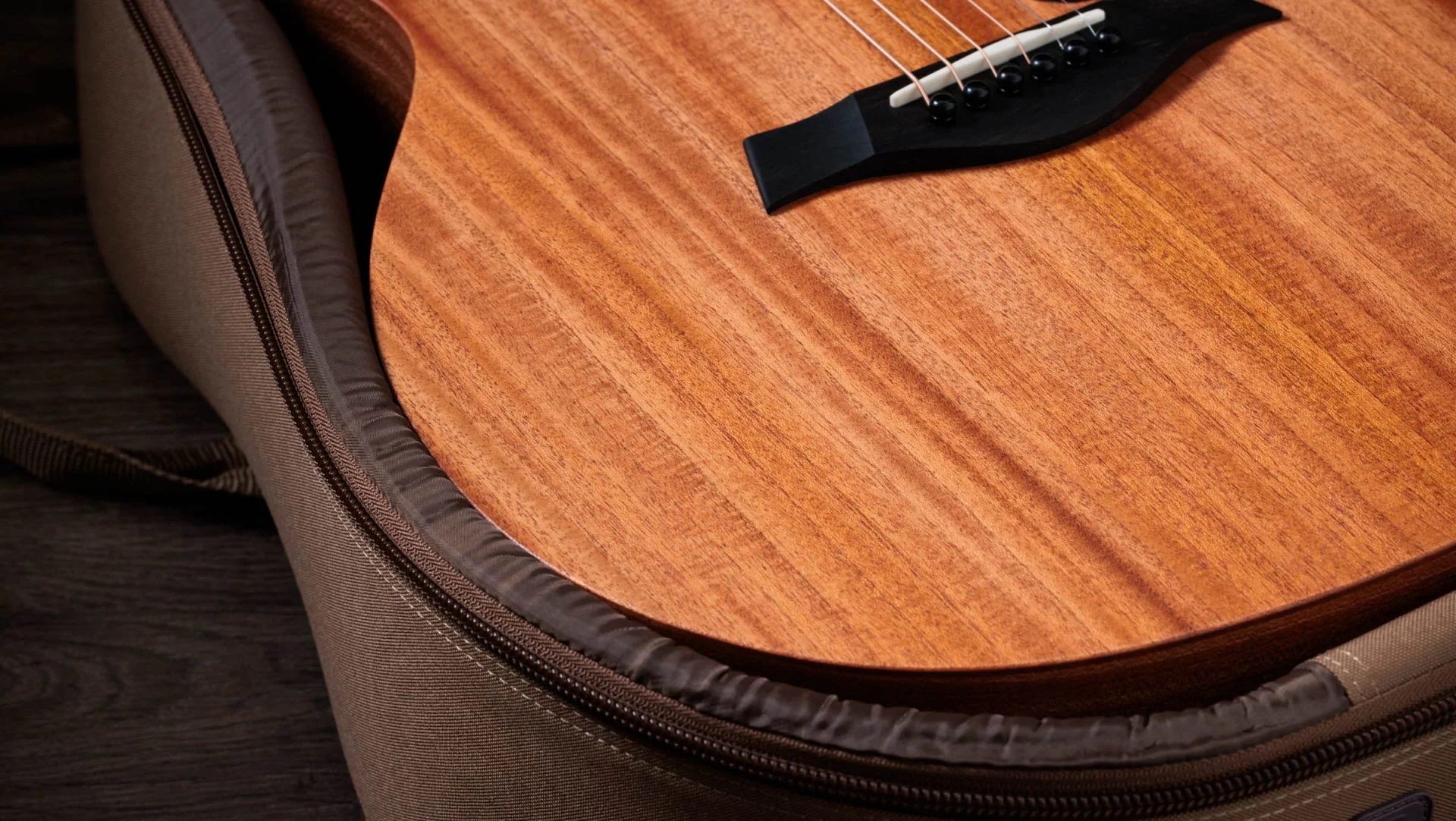 Taylor 24ce Gitarrenkorpus Detail