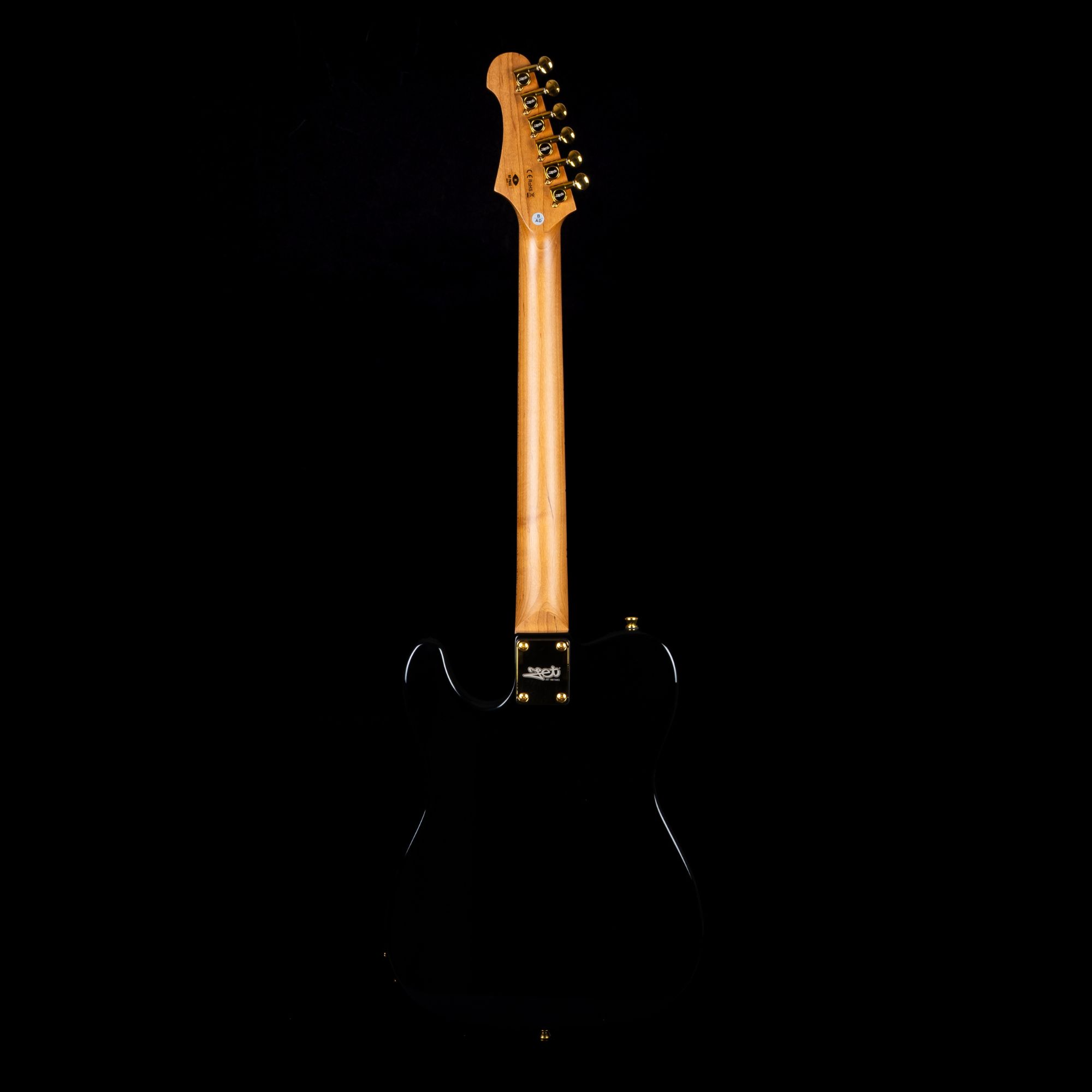 JT-300 BK G Black Gold E-Gitarre