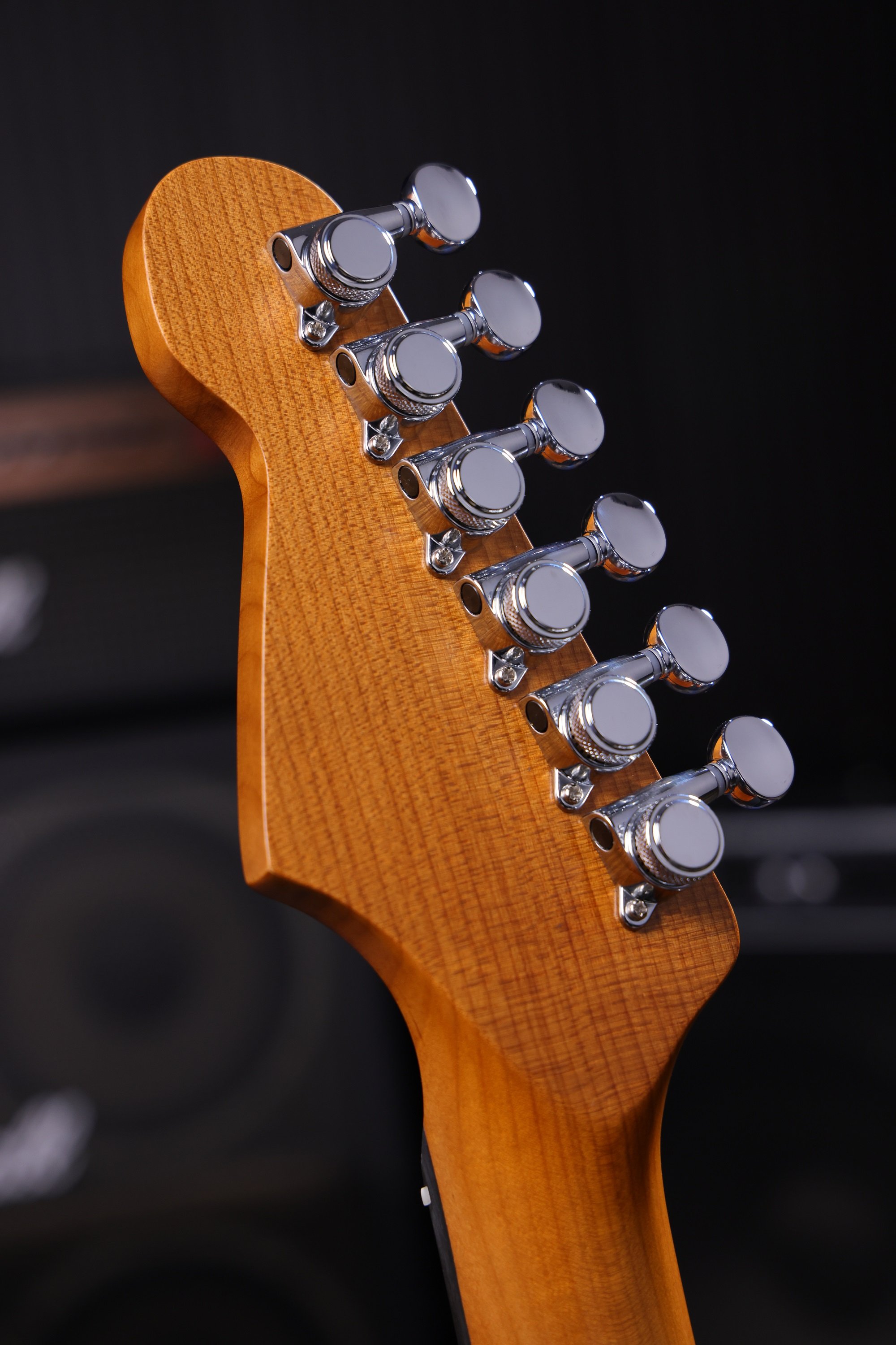 PT-3 SGR Sherwood Green E-Gitarre