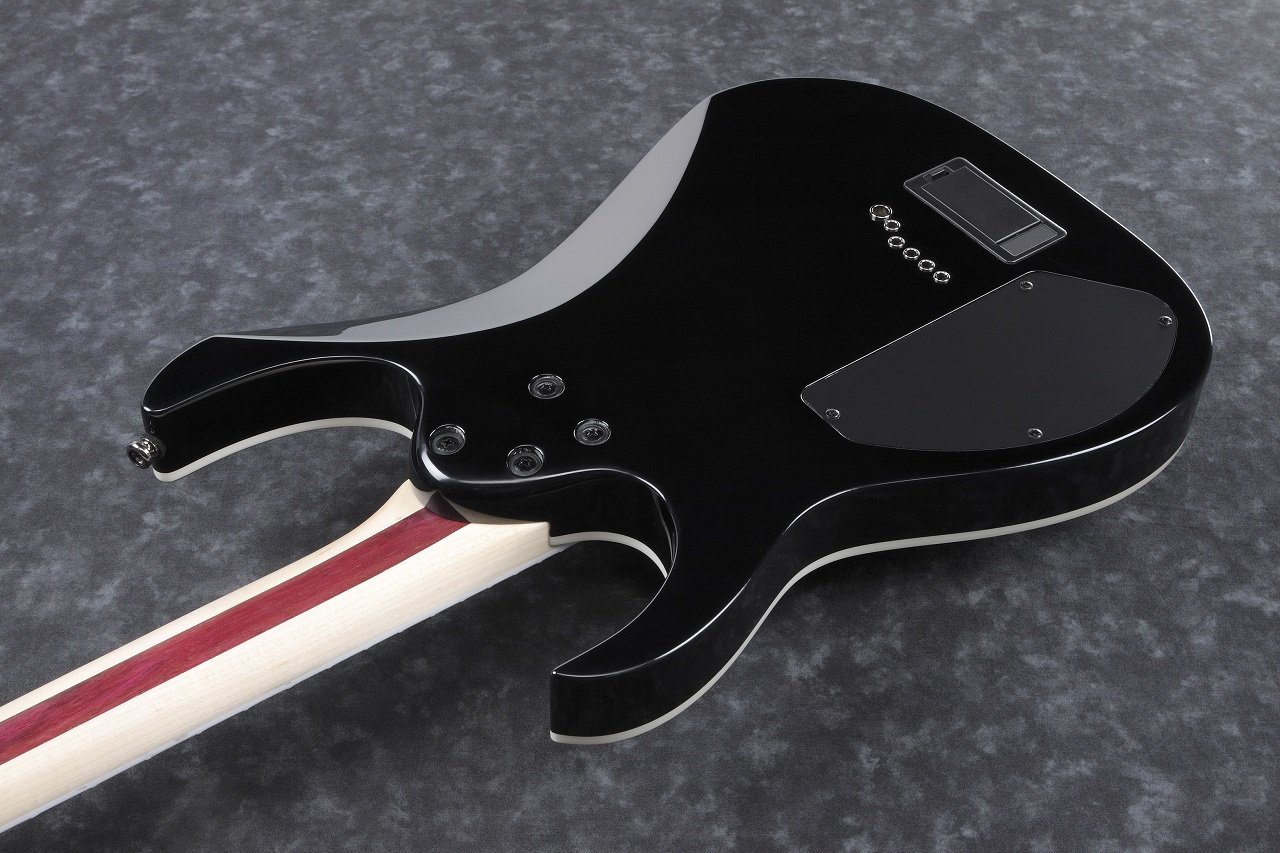 RGIB21-BK Iron Label · E-Gitarre