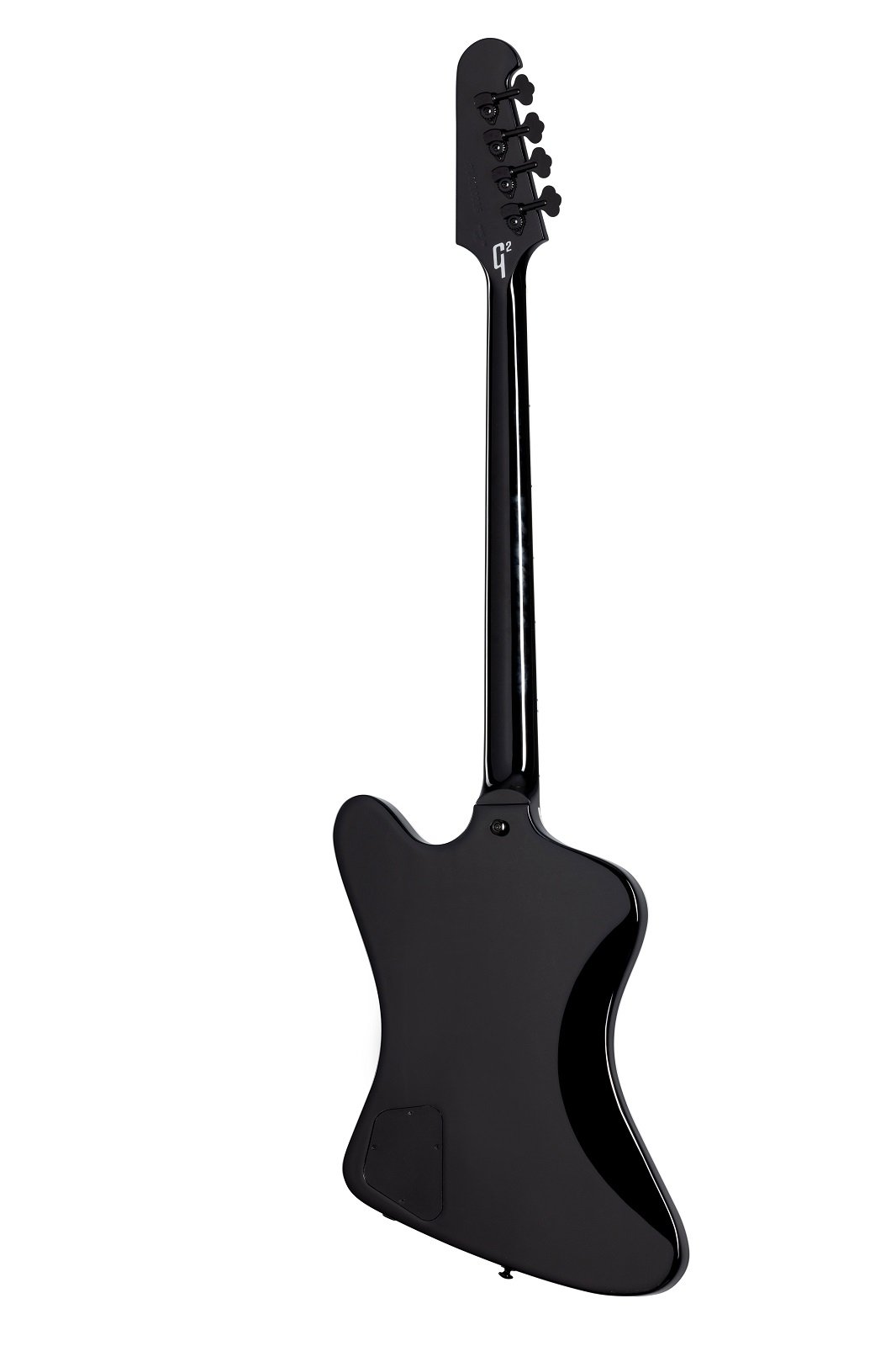 Gene Simmons G2 Thunderbird