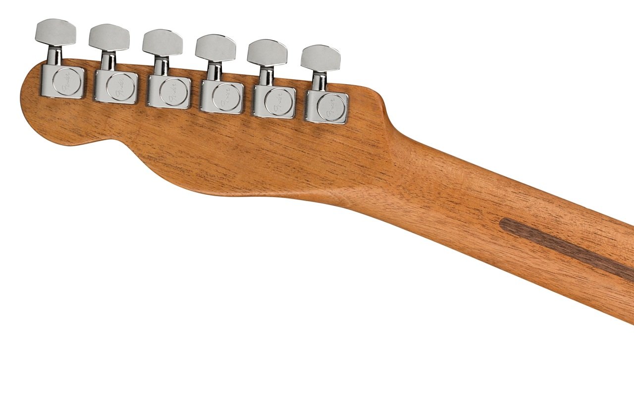 American Acoustasonic® Telecaster®, Ebony Fingerboard, Black Paisley