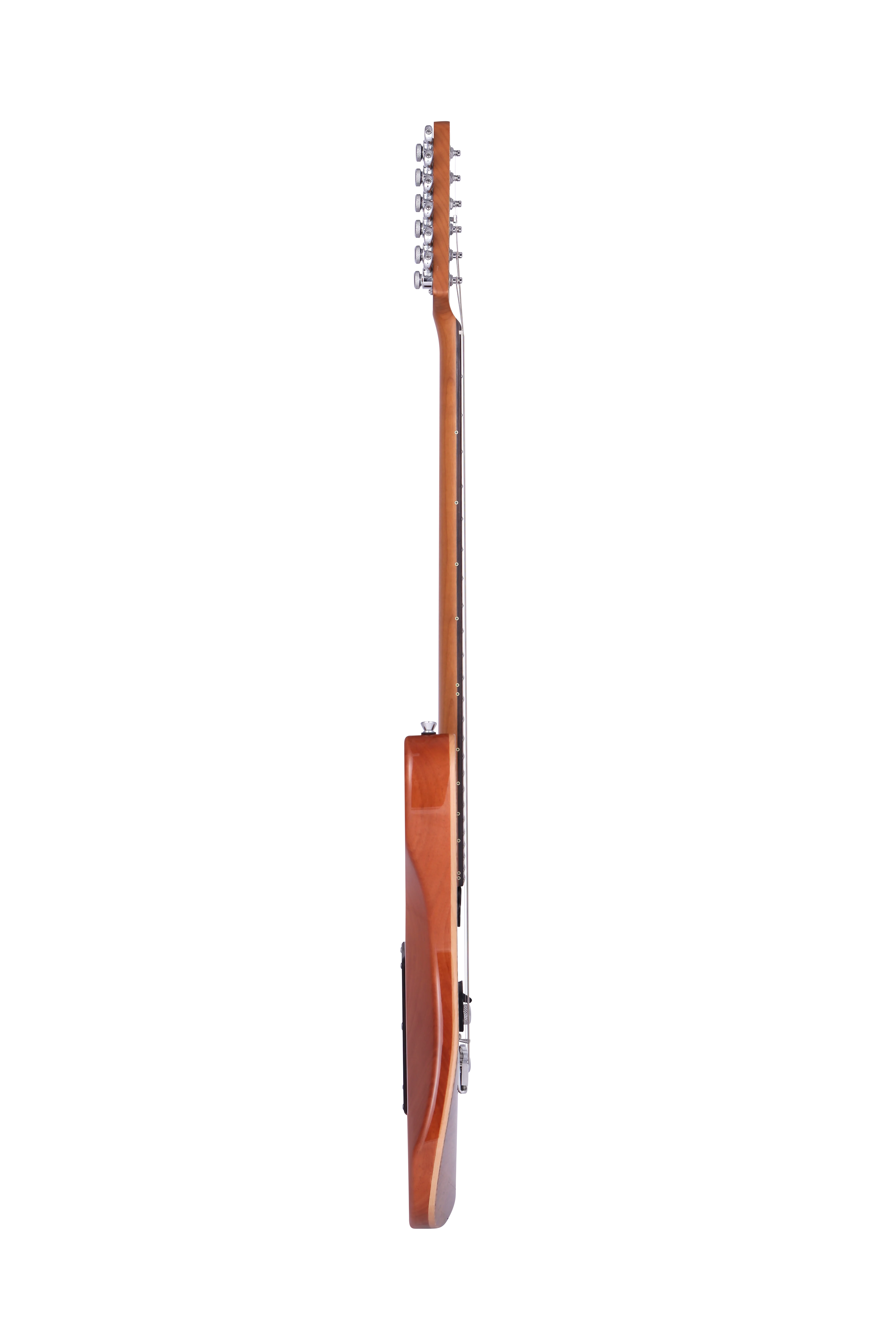 Modern Pro-F Tiger