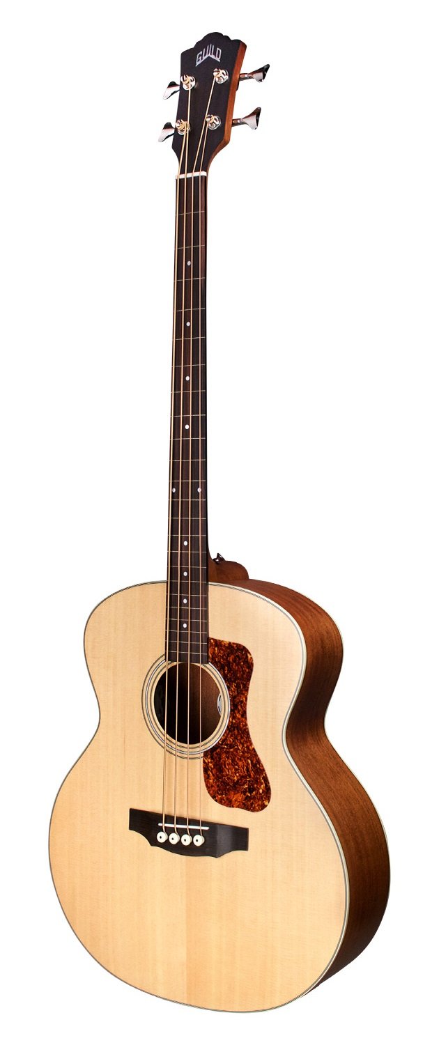 B-240E Fretless Archback NAT