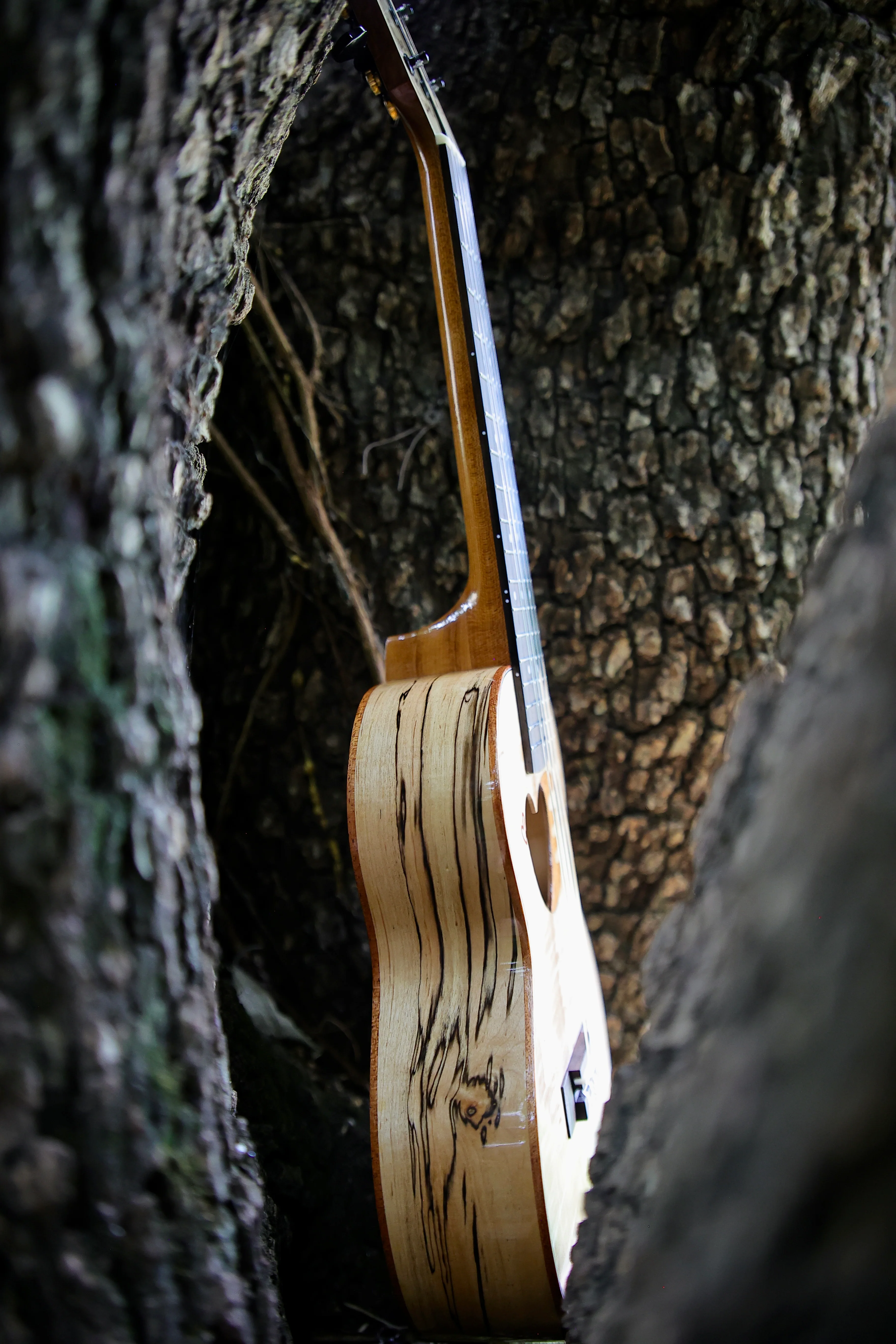 Dove of PeaceUkulele Maple Top Solid +Aged Wood Tenor