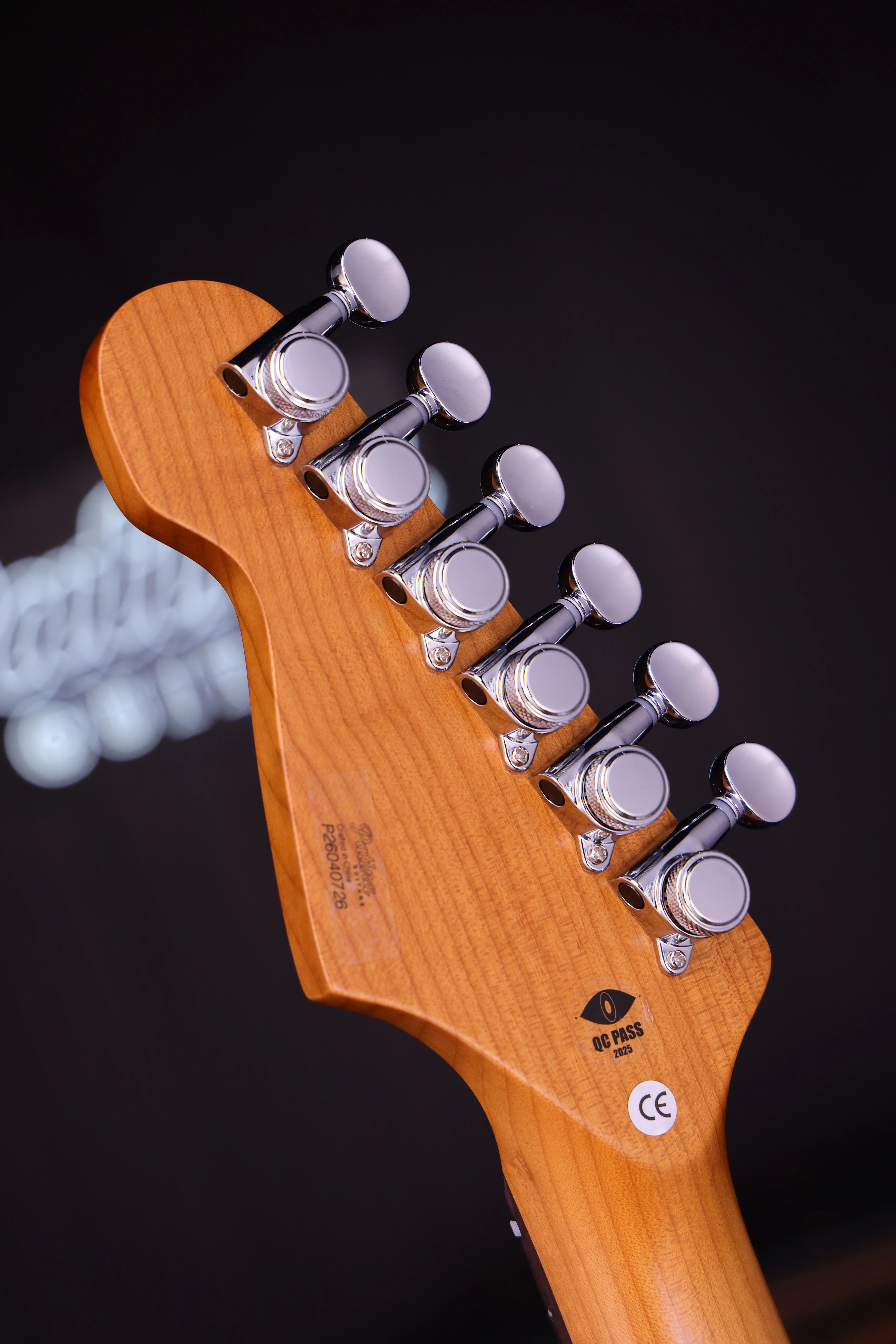 PS-4 Silver HSS ST-Style E-Gitarre