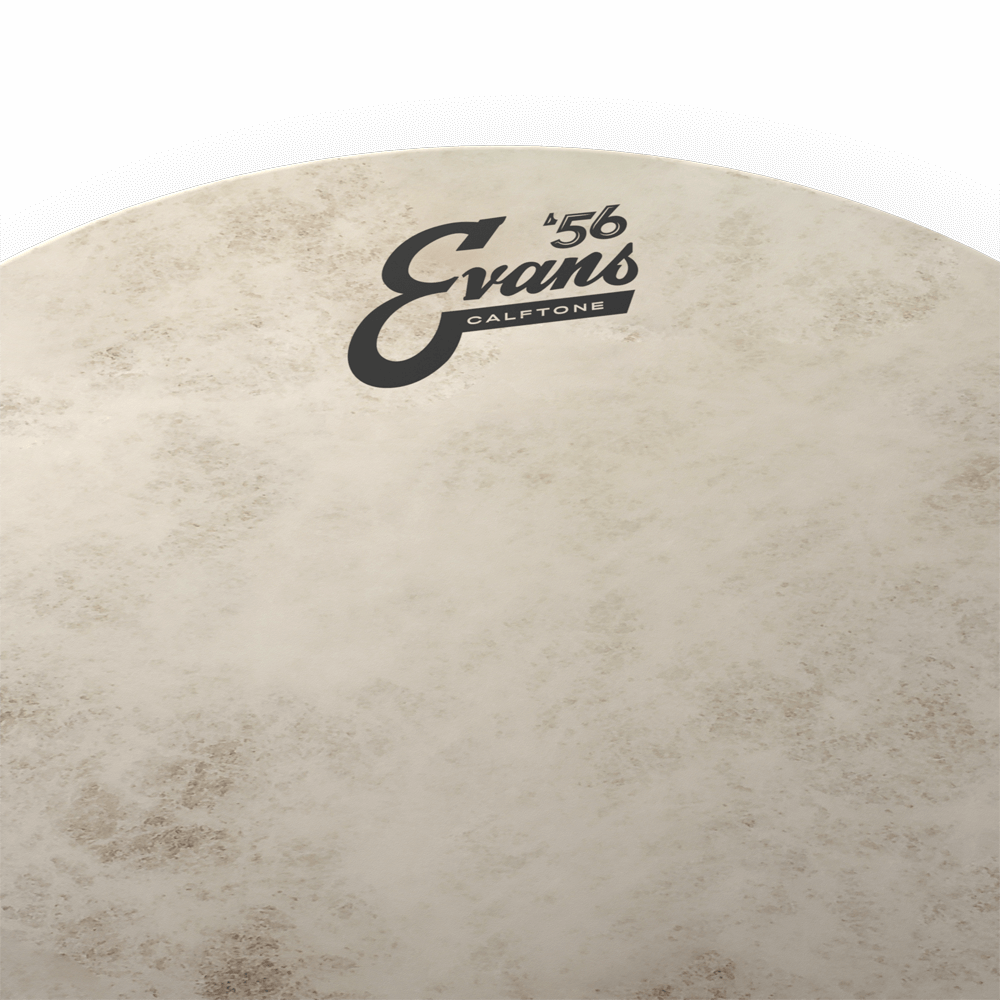 18" Calftone - Tom Fell