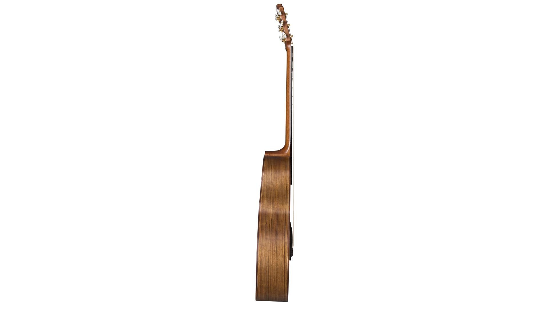 AR31S / JC-AM Alex Misko mit Fishman Rare Earth Mic Blend