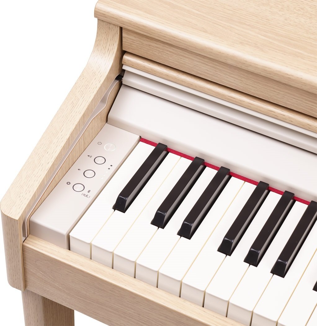 Roland RP701 mit integrierten Lautsprechern