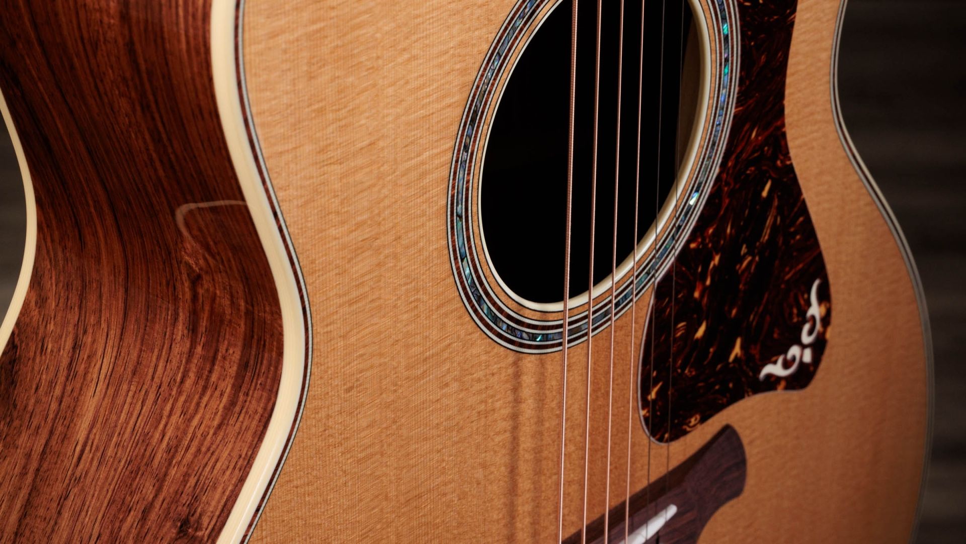 Taylor Gold Label 814e Seitenansicht links