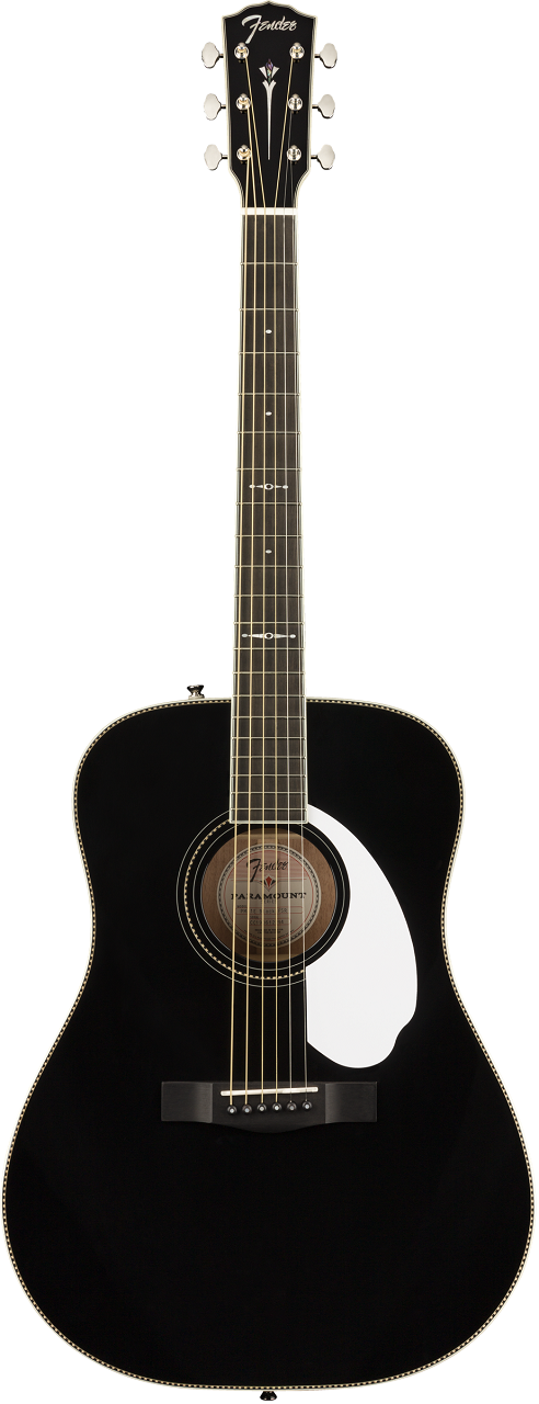 Limited Edition PM-1 Deluxe Dreadnought with Case, Black