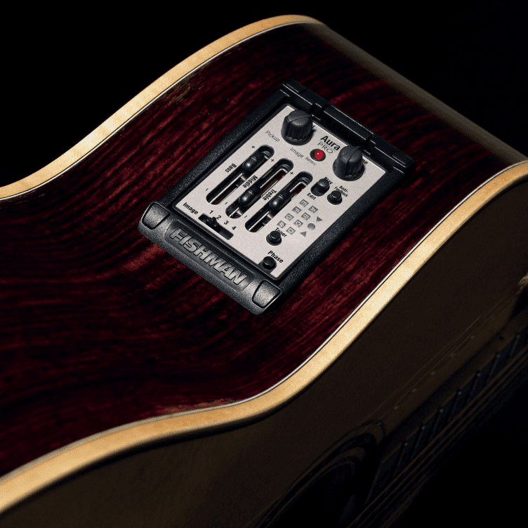 Aura Pro Onboard Preamp System