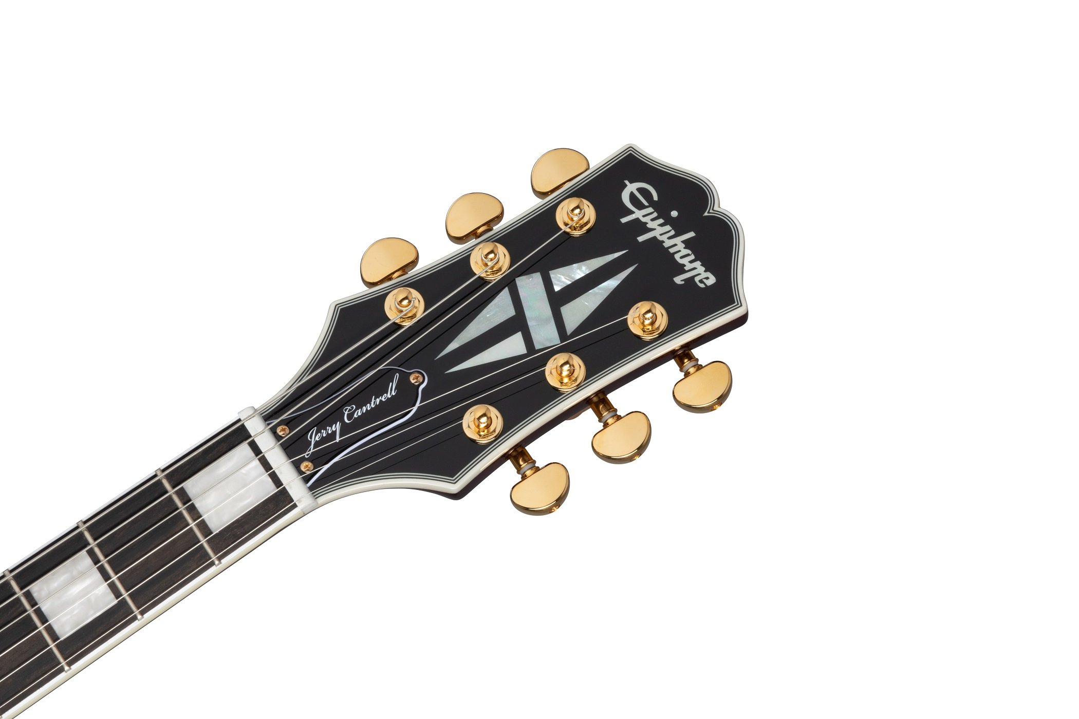 Jerry Cantrell "Wino" Les Paul Custom 