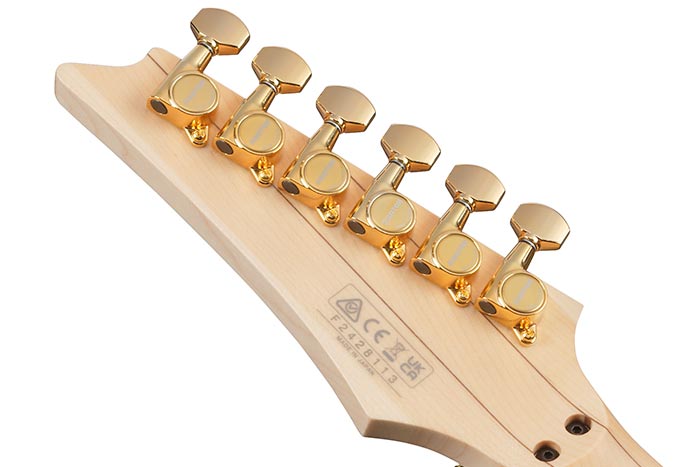 PIA77BON2 Steve Vai Signature E-Gitarre