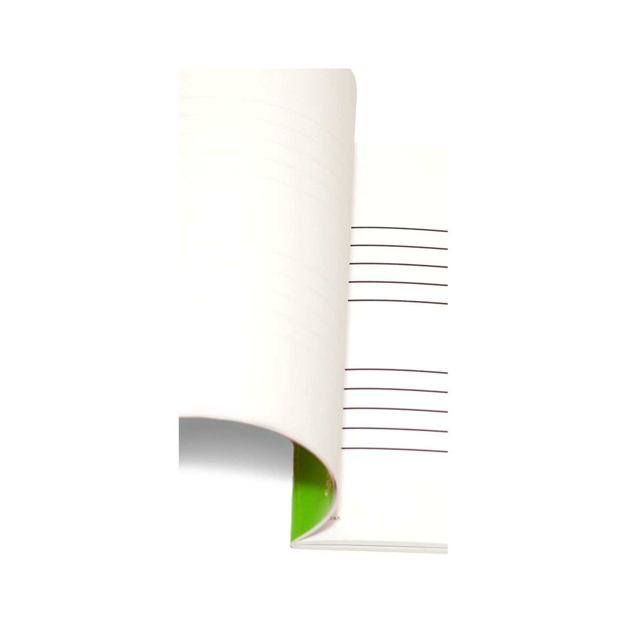 Notenmalbuch - DIN A4 quer - 2 Systeme