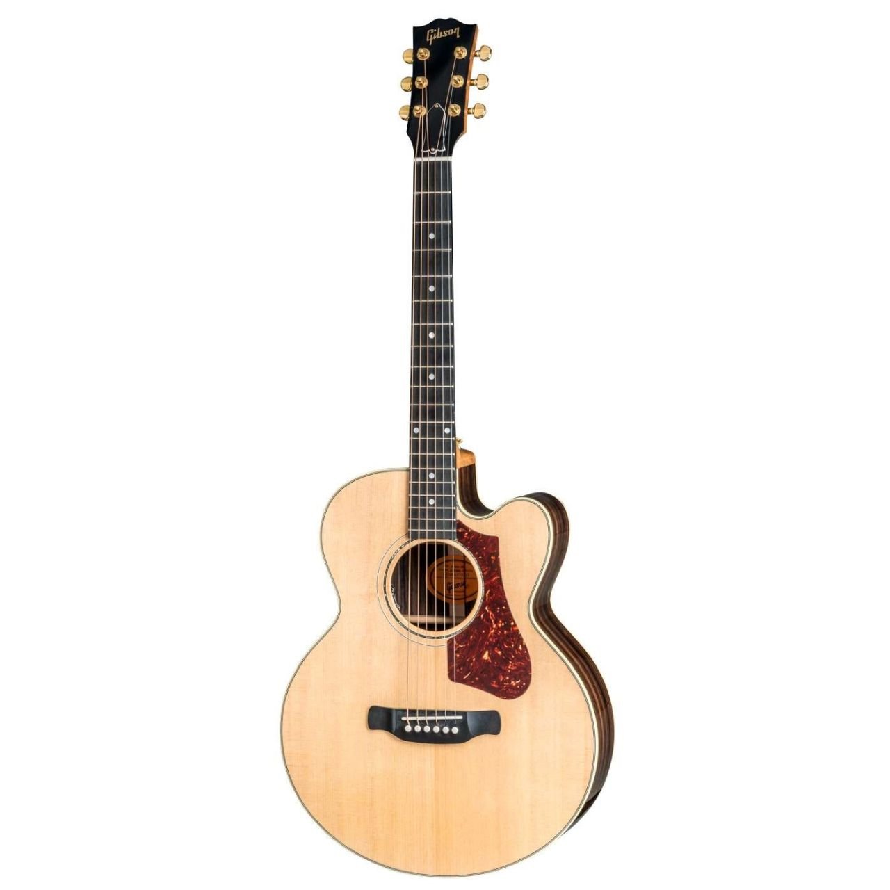 Parlor Rosewood AG 2018 - Westerngitarre mit Tonabnehmer