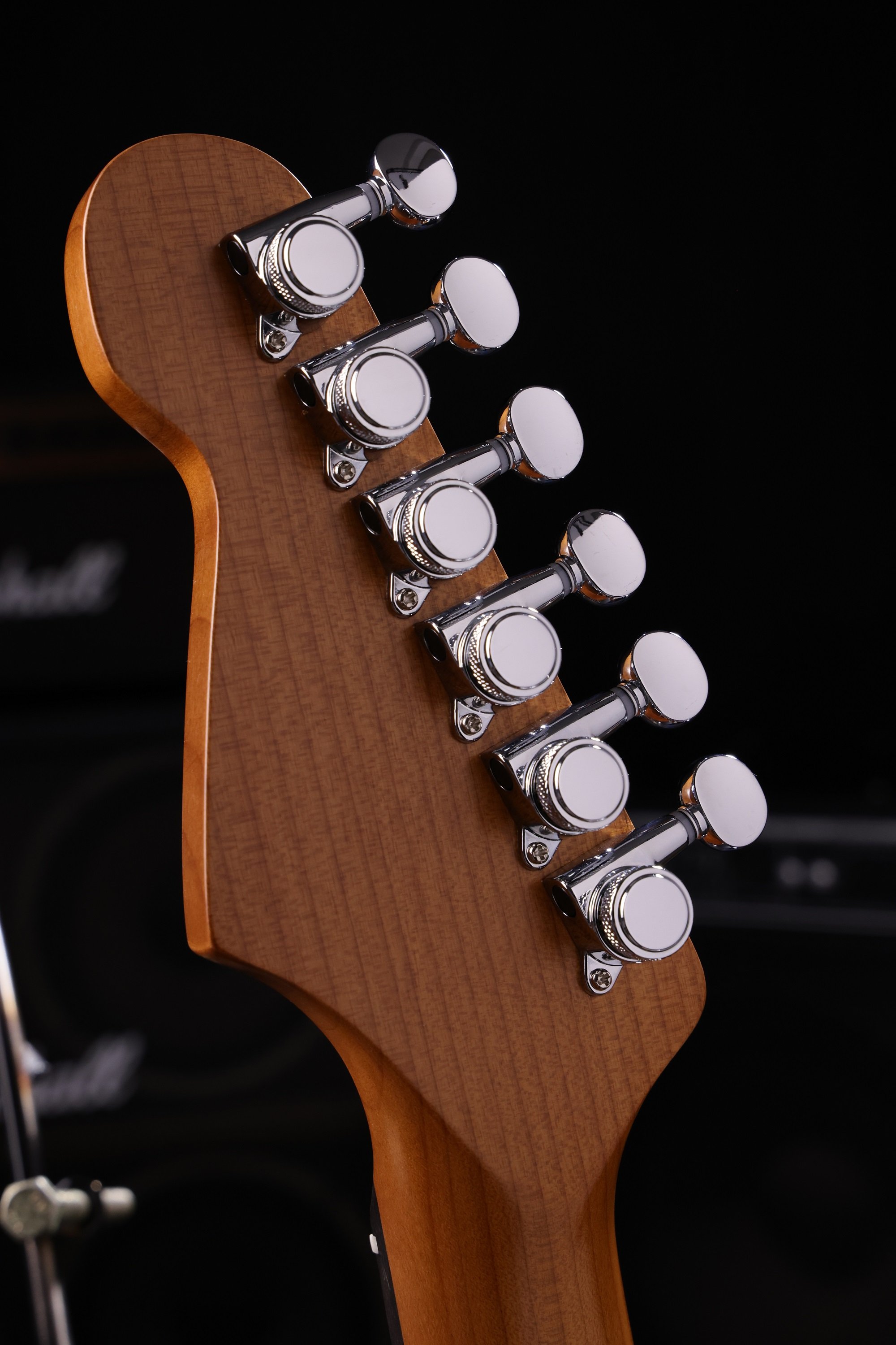 PS-3 SGR Sherwood Green E-Gitarre
