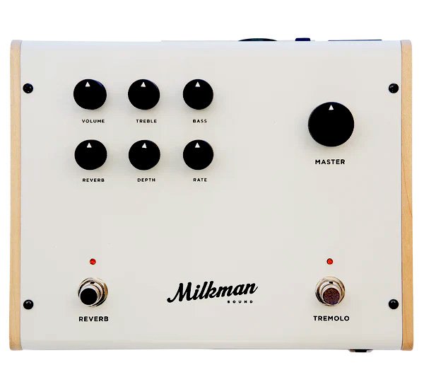 The Amp 50 Hybridverstaerker im Pedalformat