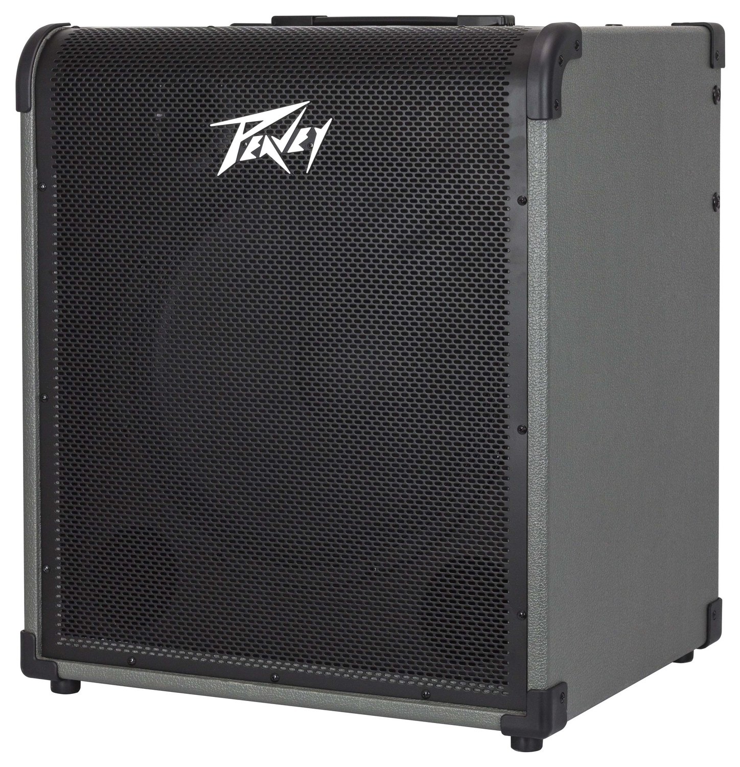 MAX 250 Bass Amp Combo