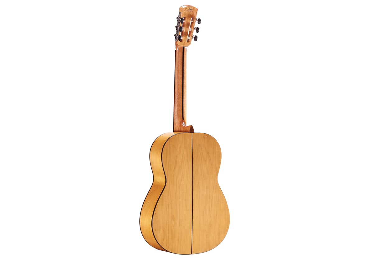 CF6 Flamenco Trad. Yellow
