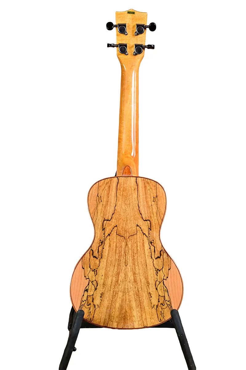 Solid Spruce Top Concert Uke  (B-Stock) 