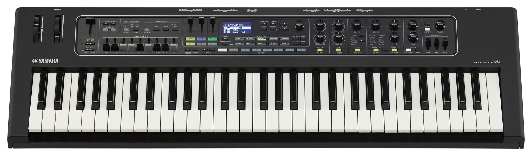 CK61 Stage Keyboard