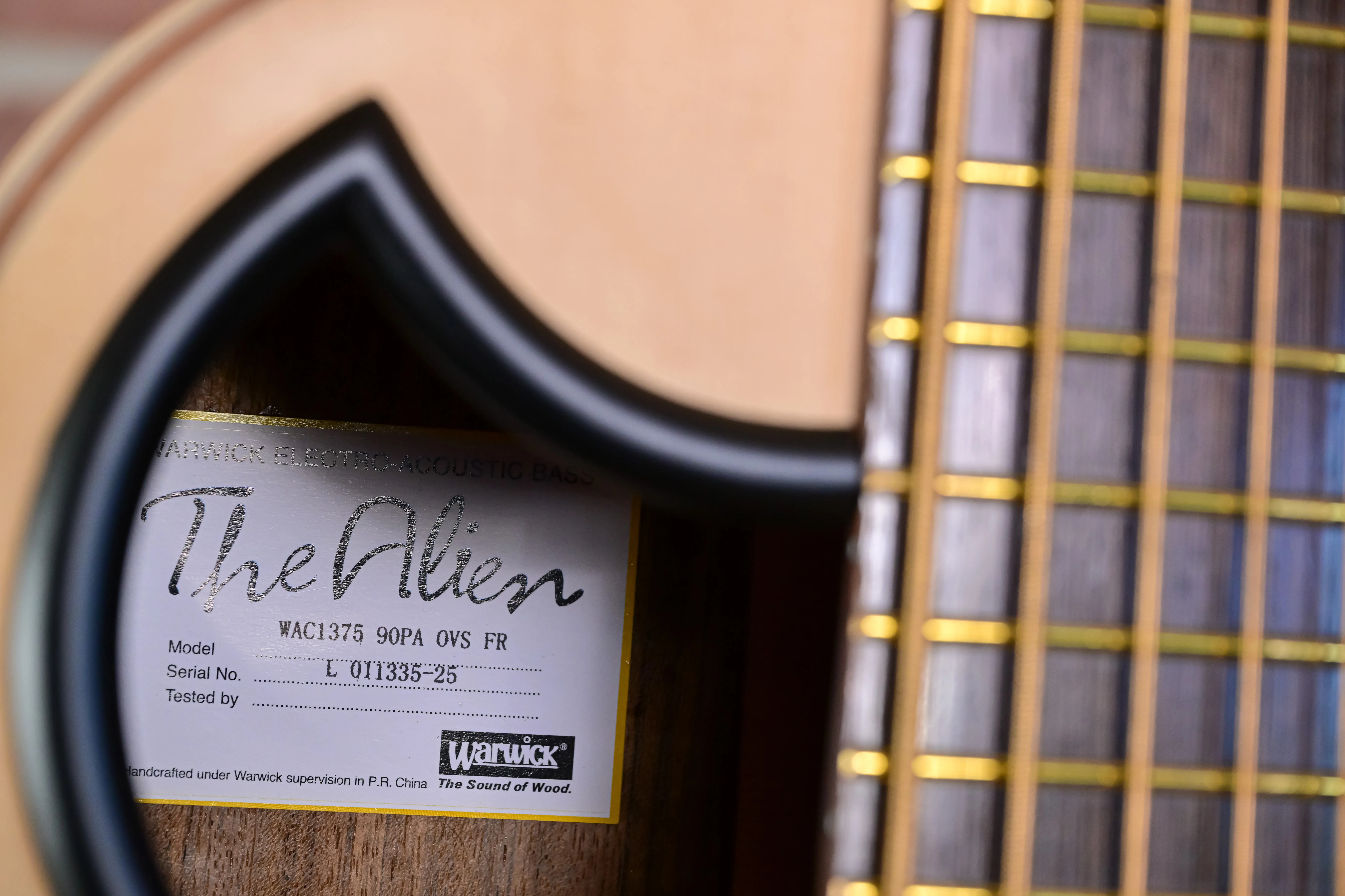 Alien 5 Natural 5-String Acoustic Bass Fretted (B-Stock)