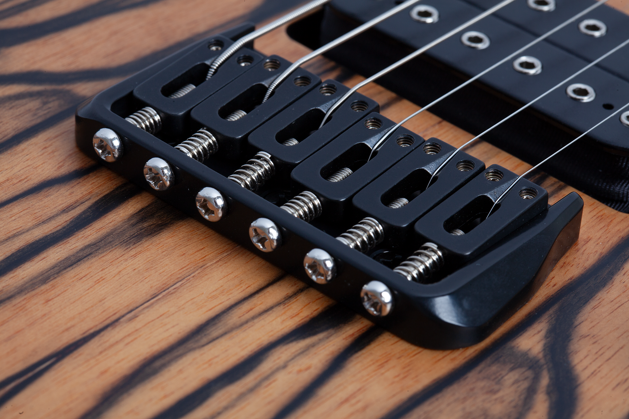 C-1 Pale Moon Satin Natural Black Burst E-Gitarre