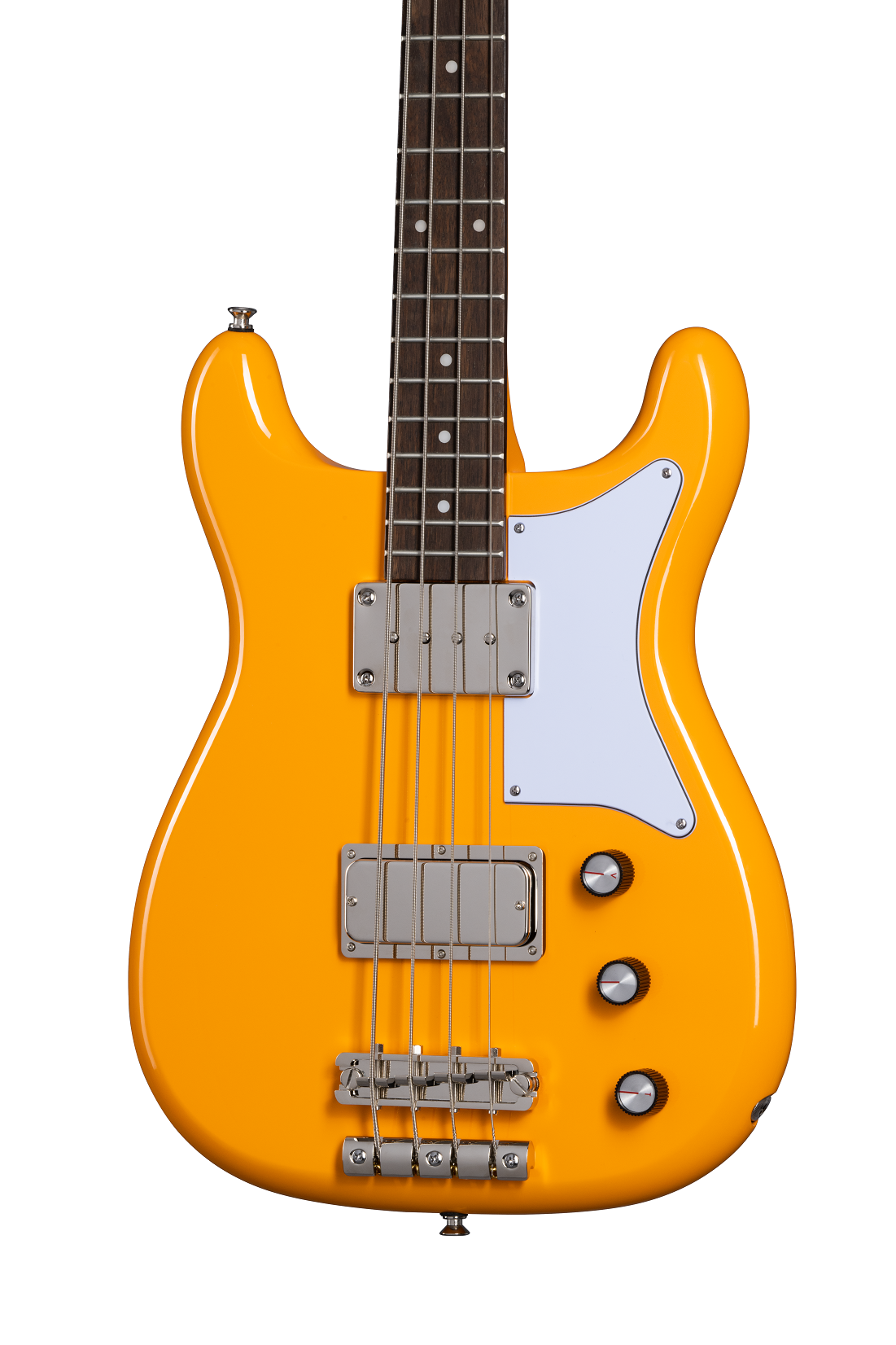 Newport Bass, California Coral