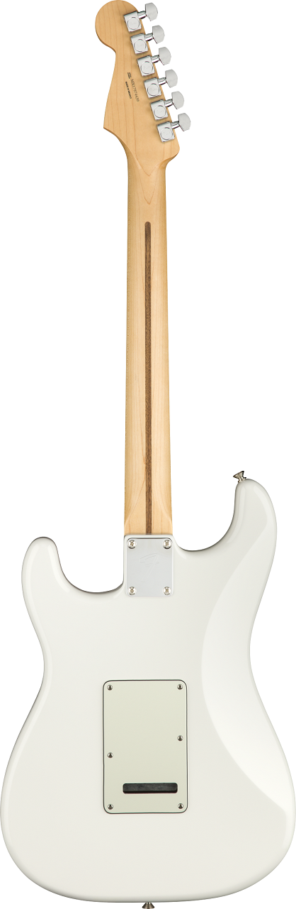 Player Stratocaster®, Pau Ferro Fingerboard, Polar White