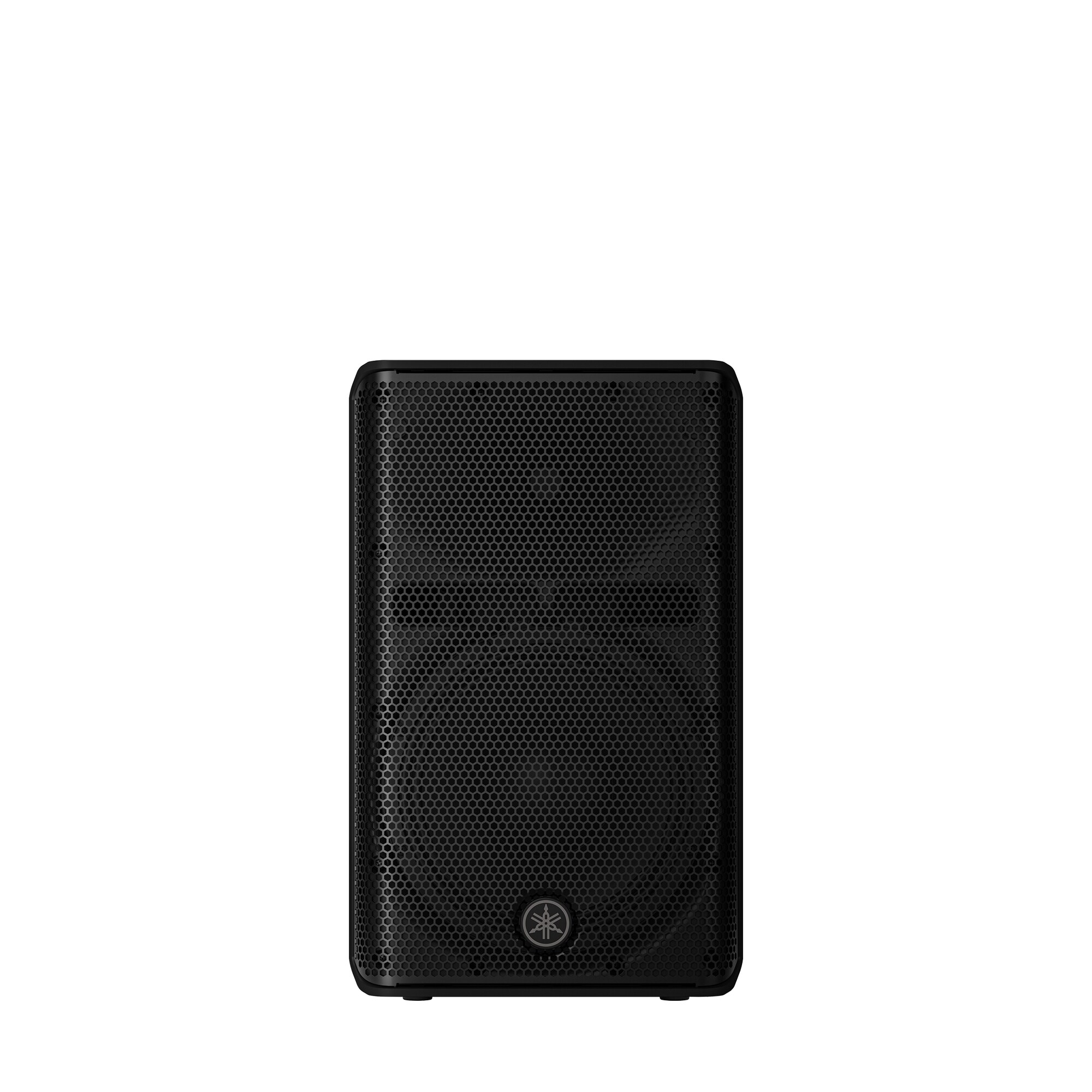 CXR10 MKIII Passive PA Speaker 