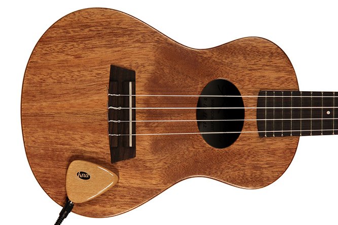 AP-1 Universal Akustik Tonabnehmer