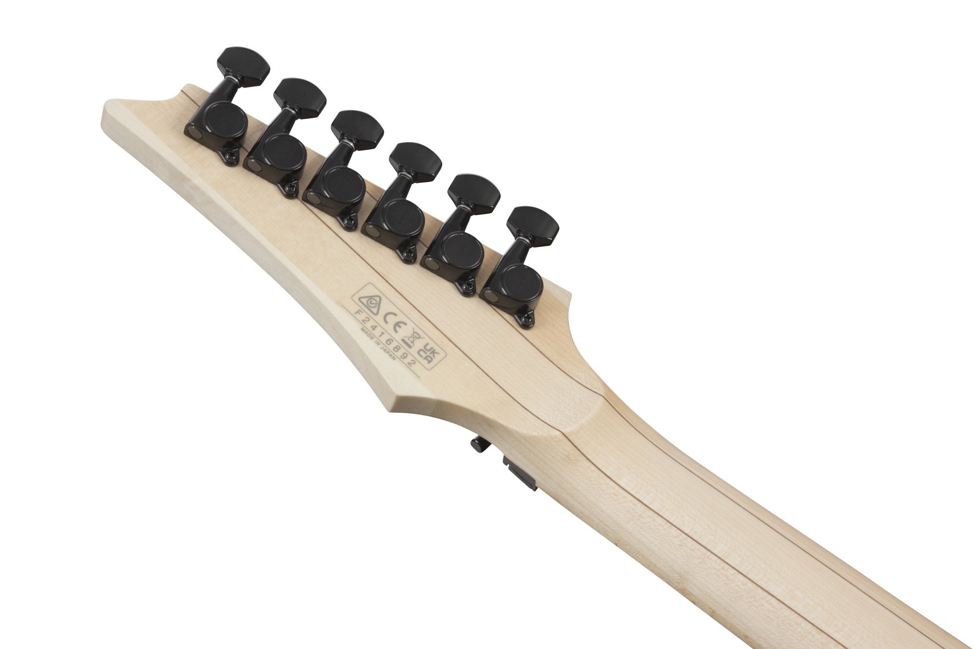 RG550 E-Gitarre Black 