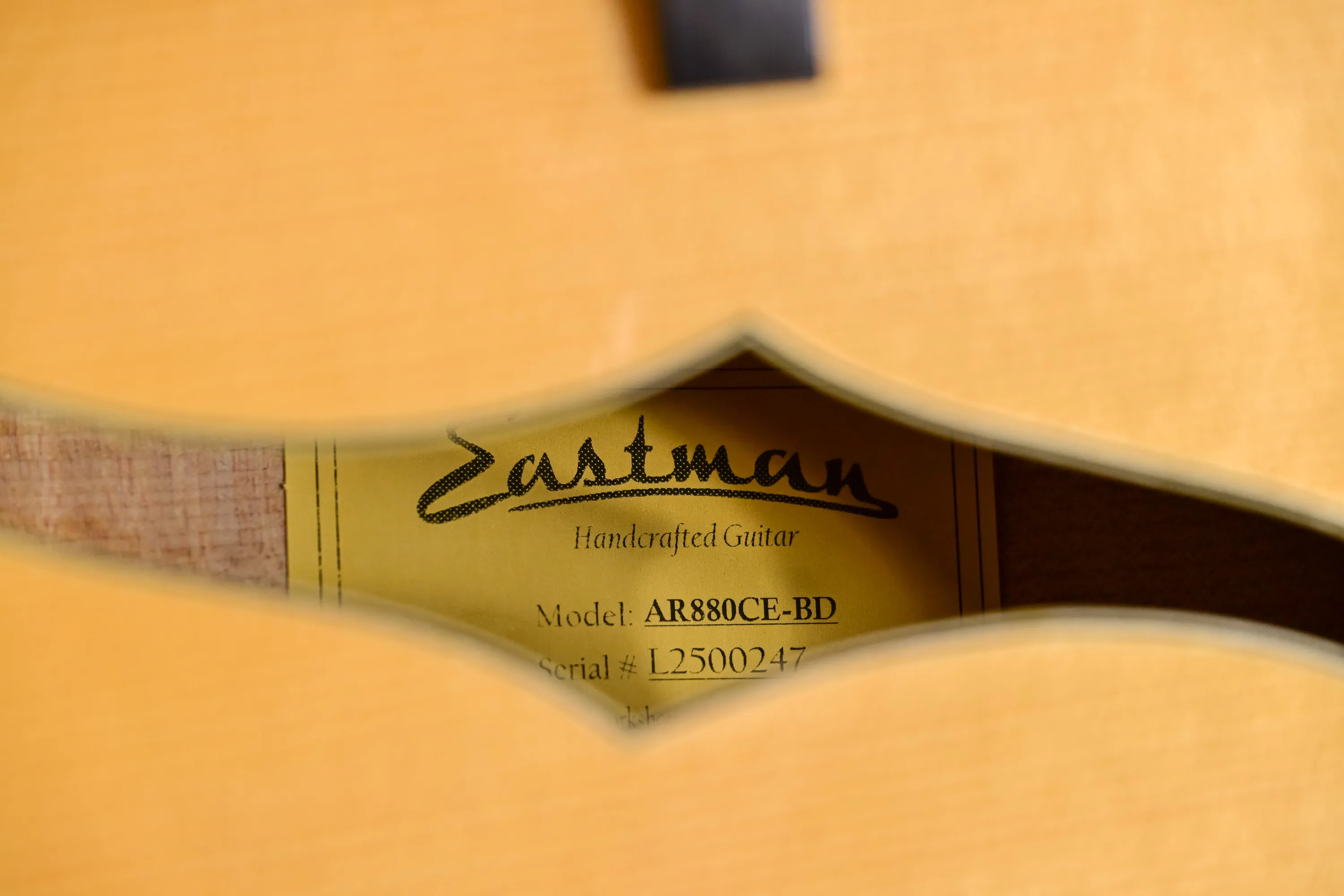 AR880CE-BD Archtop-Gitarre