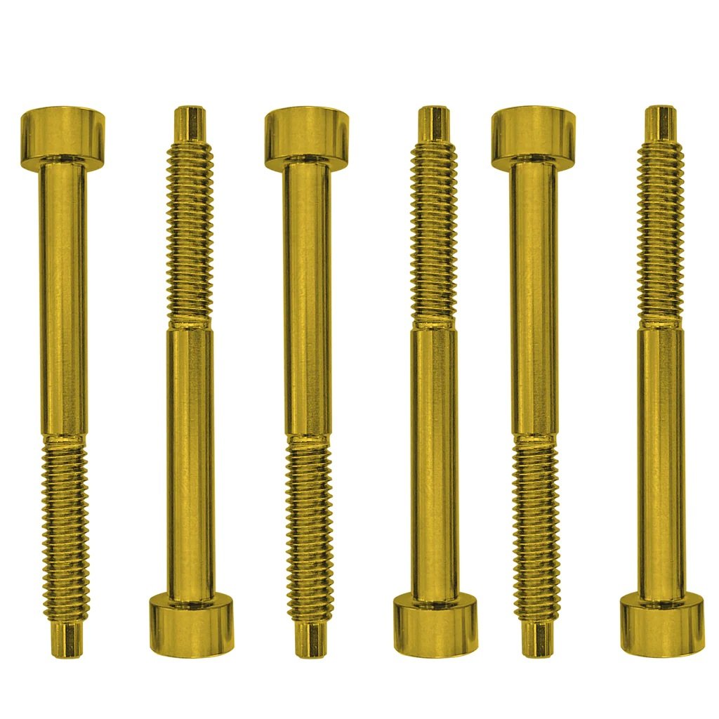 FROSLSGDP - Color Stainless Steel String Lock Screws (6 pcs), Gold