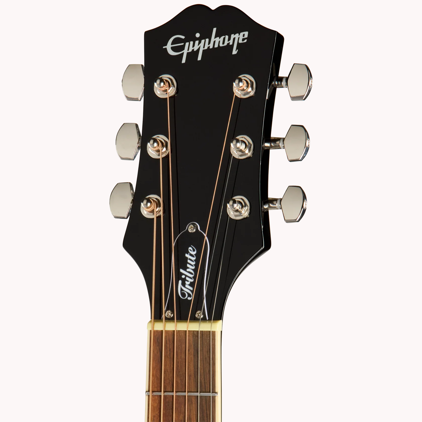 Hummingbird Tribute Ebony Westerngitarre
