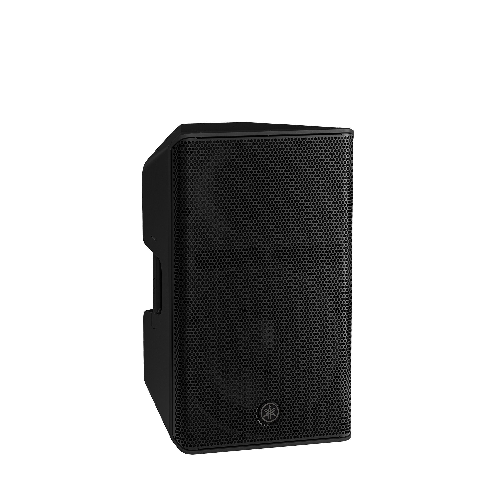 CXR12 MKIII Passive PA Speaker