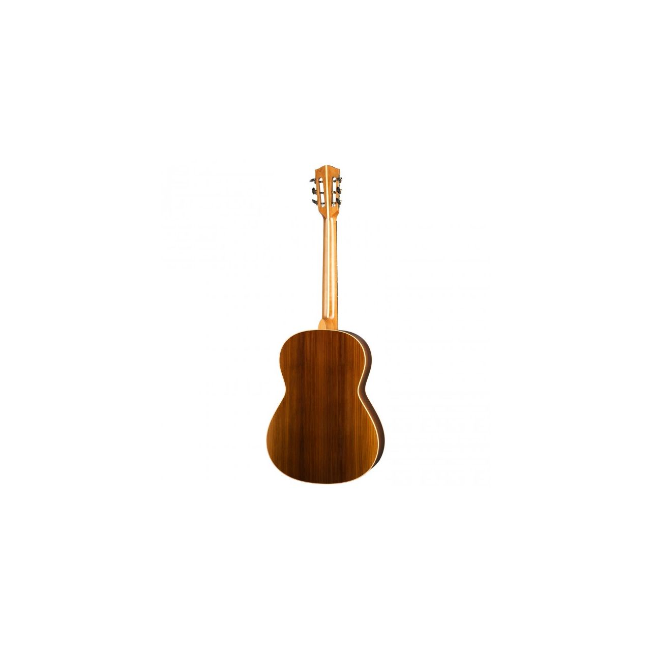 HA-CS8 - Acousticgitarre mit Tonabnehmer