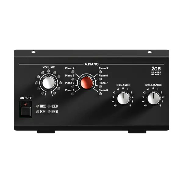 Acoustic Piano Module 2GB