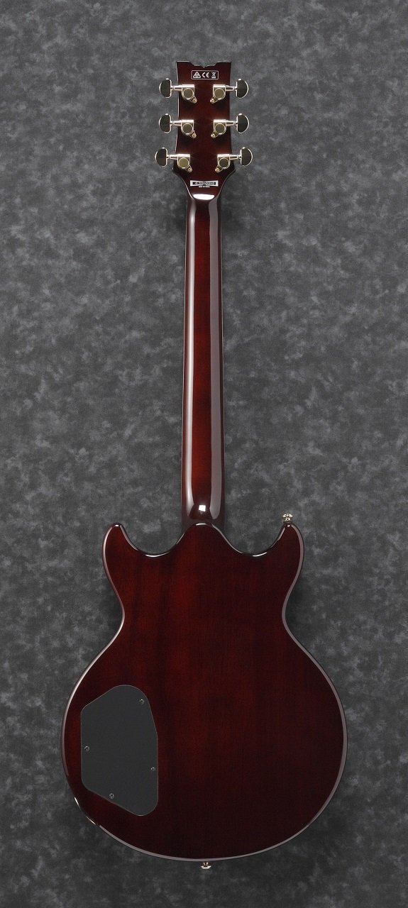 AR520HFM-VLS