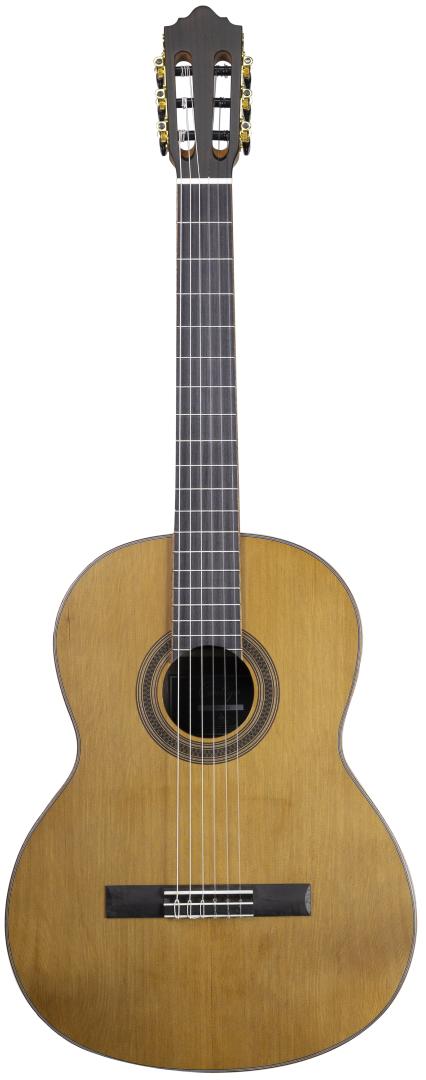 C-205 Konzertgitarre